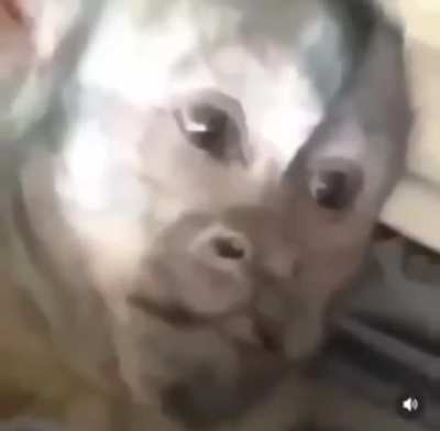 Mönkë