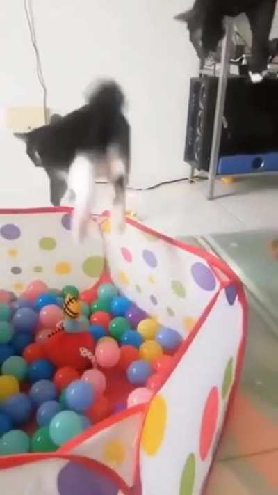 Maybe Maybe Maybe