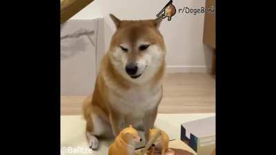 No horny, boi! $DogeBonk