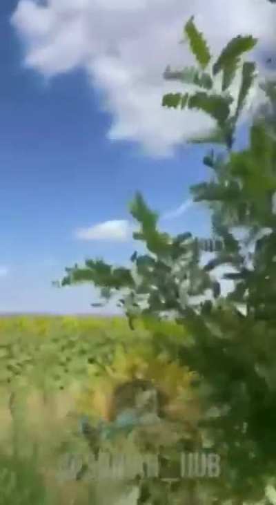 Ukrainian &ldquo;Tor&rdquo; SAM system firing at Russian drone, allegedly Sumy Oblast, August 2024