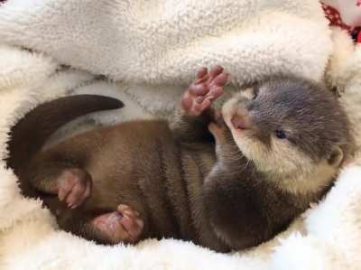 Cute overload!