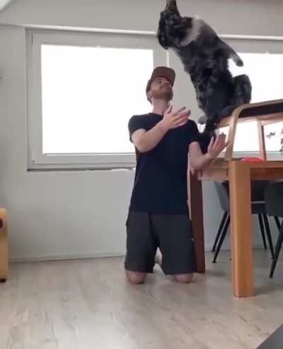 Trust