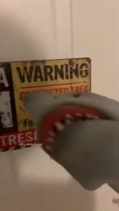 shark puppet
