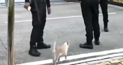 He can’t resist the cuteness