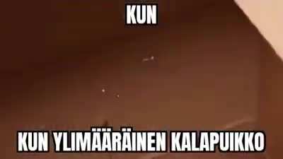 Mina🐟irl