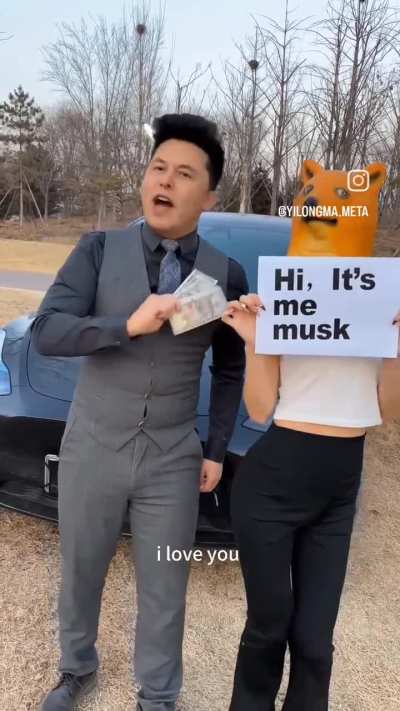 Yilongma (shitpost)