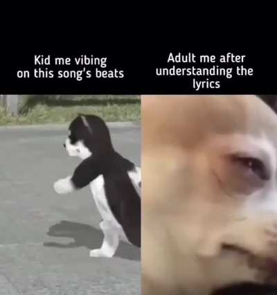 this meme is funny because it showcases how your perspective changes when you get old enough to comprehend the words behind the beat &mdash; some__stan
