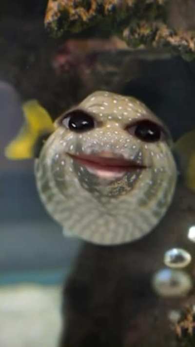 P&uuml;ffērfį&scaron;h