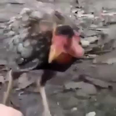 Hmmmm