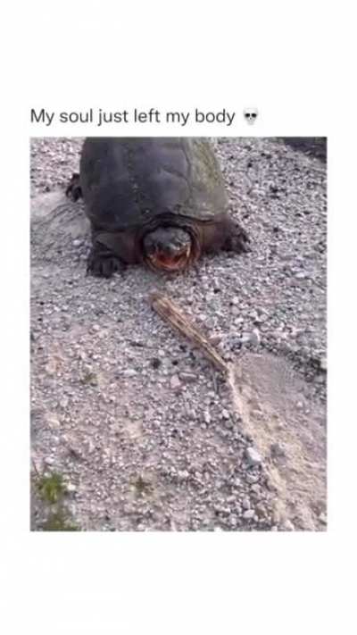 noooo