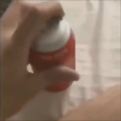 Coquinha espumando