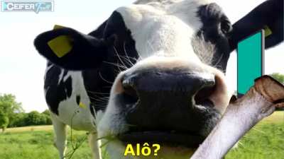 pescocofino - Video #9080