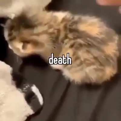 Death