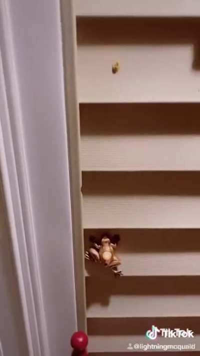 🐸