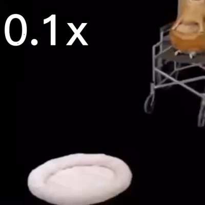 FECES