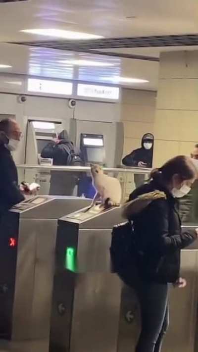 Tickets please!