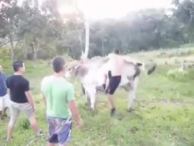 Bull wasn&rsquo;t havin it