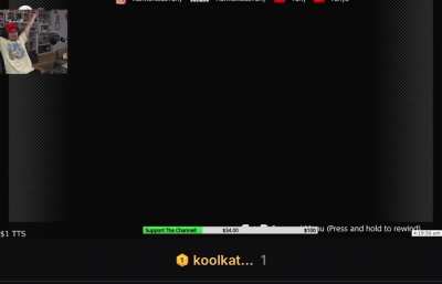 Alcoholic man child playing pdf games dropping f slurs 🤓