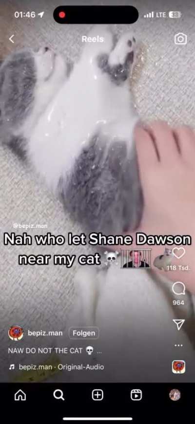 Nah man. Get this man away from my cats!!
