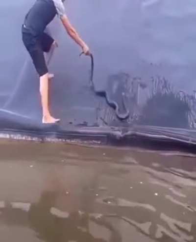 Snek
