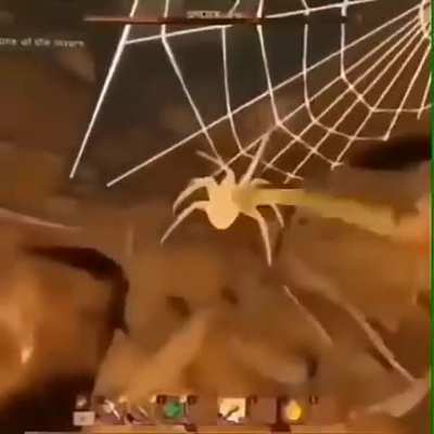 An abrupt spider