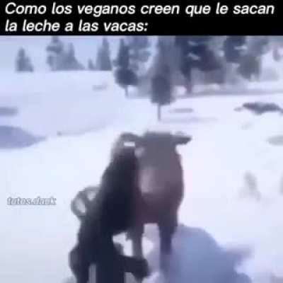 falta fuerza
