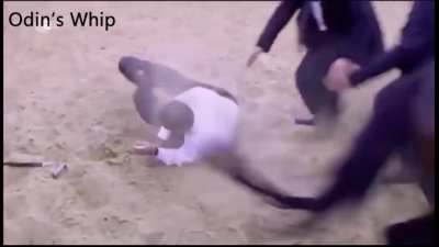 Best Camel rider in Turkey🐪🐪🇹🇳🇸🇦🇹🇳🇸🇦🇹🇳