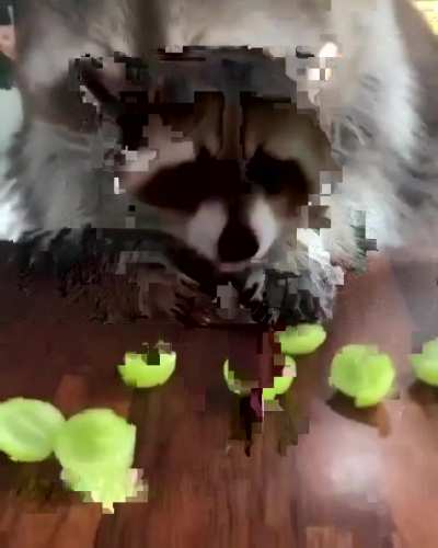 a little snack