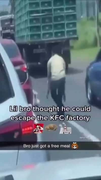 chicken run 3 seems nice