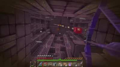 Shulkers are fun
