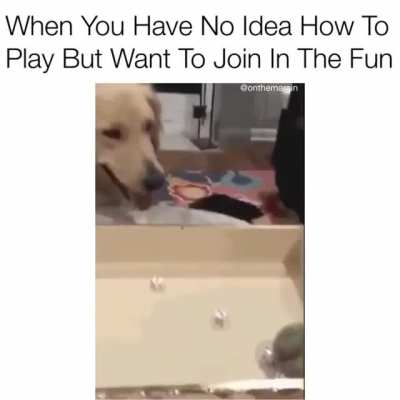 Did I Win?
