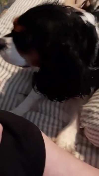 A-