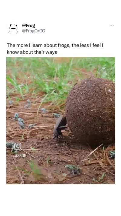 this belongs here