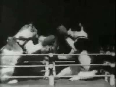 First ever cat video "Boxing Cats", filmed at Edison&rsquo;s Black Maria Studio in 1894.