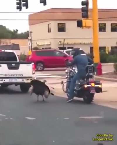 Я тебе зарэжу, наездник на железной коняге!