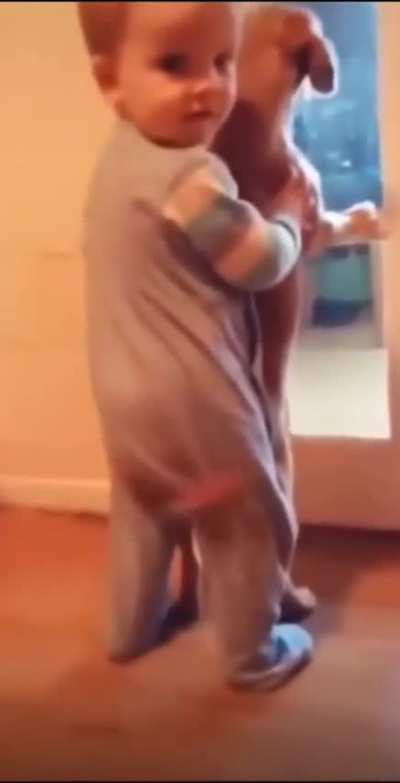 1 baby vs dog cute