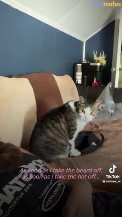 The Cat and The Beard