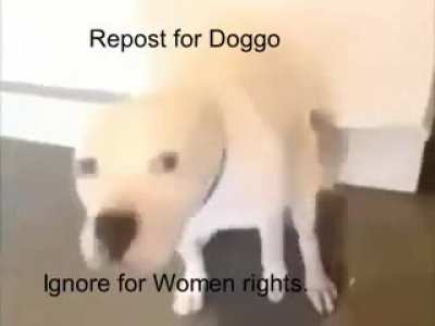 Rule 1