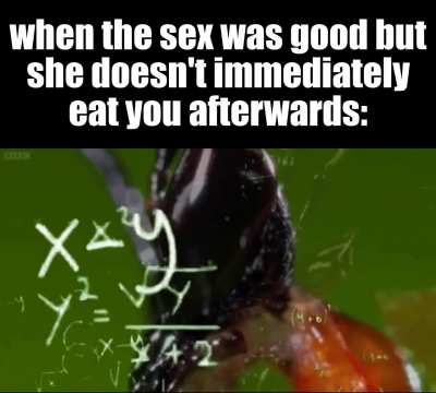 did I do something wrong..? [oc]