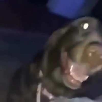 Sin titulo mis señores