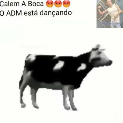 Achei v&iacute;deo do legolas n&atilde;o contem pra ele