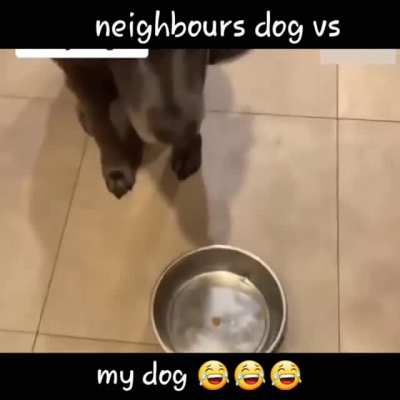 Lol!