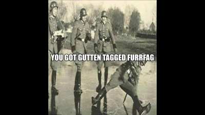 You Got Gutten Tagged Furrfag