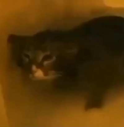 Blem