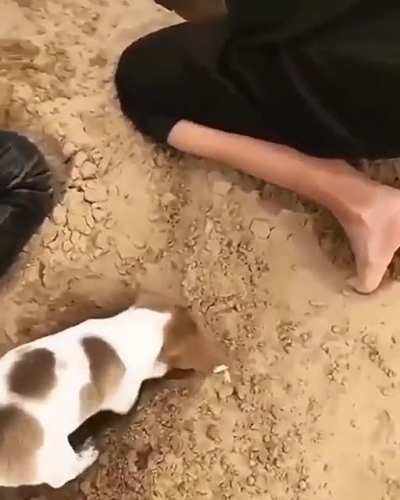 Tiny helper