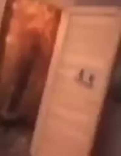 Si Dylan no lo ve me voy a autosuicidar yo solito sin ayuda de nadie