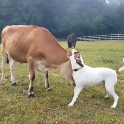 Lovely Friendship 💕