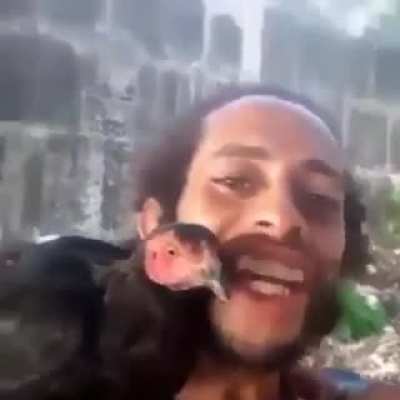 Esse papagaio &eacute; super raro!!!!