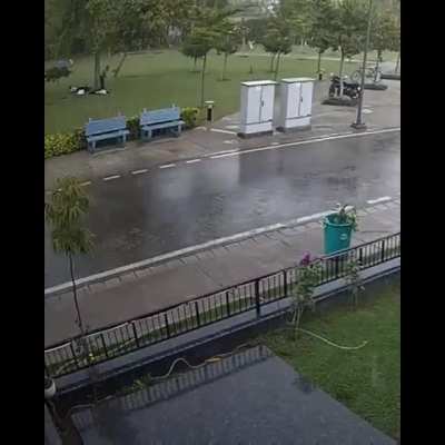 WCGW standing under a tree in a thunderstorm