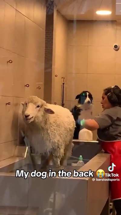 Getting clean 🧼